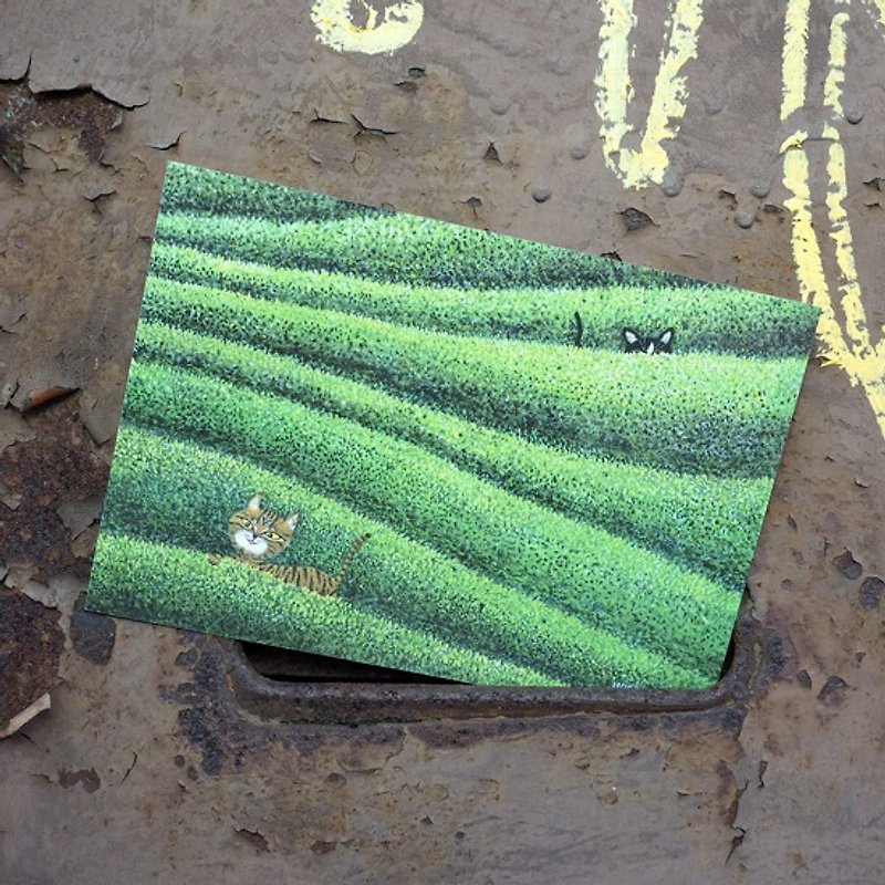 これぞ台湾の自然風景シリーズ_高山の緑の迷宮 - カード・はがき - 紙 グリーン
