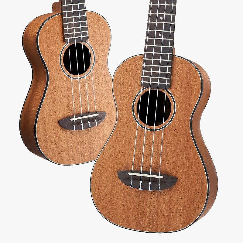Mini C Mahogany｜Mini Concert｜aNueNue Ukulele - Guitars & Music Instruments - Wood Brown
