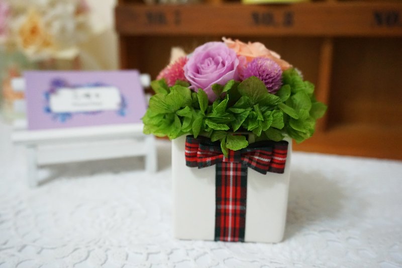アマランス-植えかわいいウサギの耳*為替贈り物*バレンタインデー*結婚式*誕生日プレゼント - 観葉植物 - 寄せ植え・花 