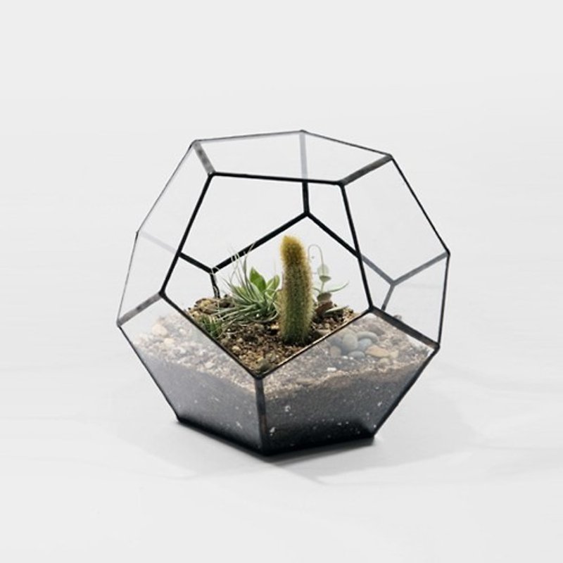 ドデカフラワー | スコア+ソルダー - 観葉植物 - ガラス ブラック