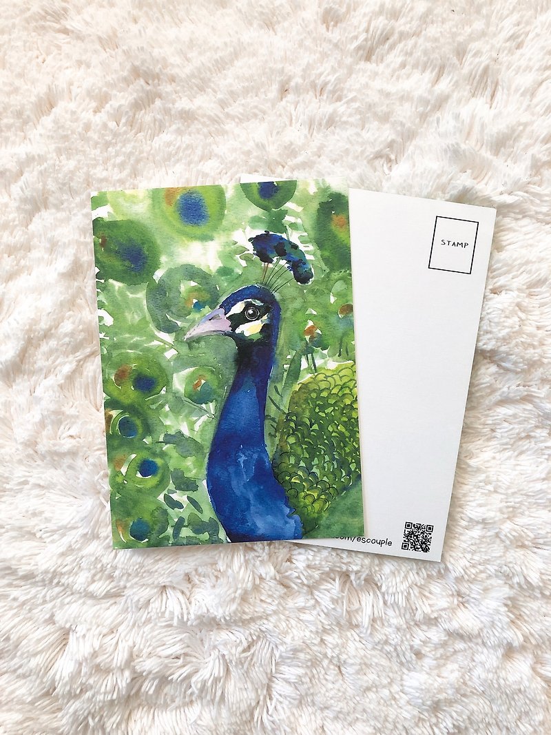 Animal Postcard  Peacock - การ์ด/โปสการ์ด - กระดาษ สีเขียว