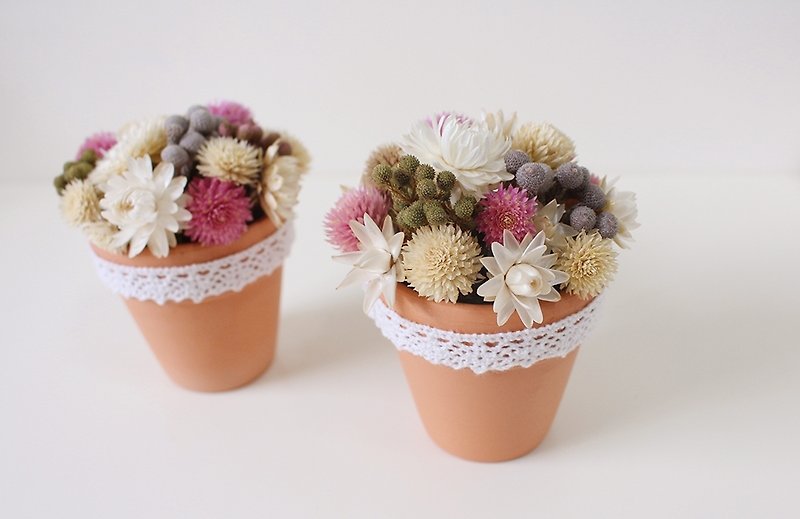 Flover Fulla design dried small pot - Other - Other Materials Multicolor