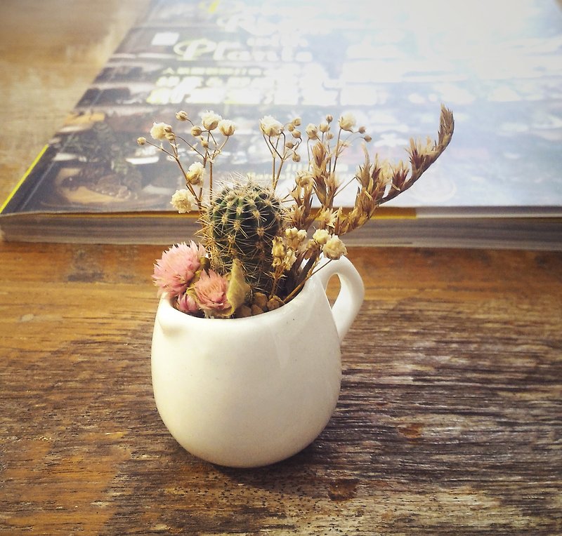 <Flowers small meat pot> potted succulents <Flowers small meat pot> succulents - Plants - Porcelain White