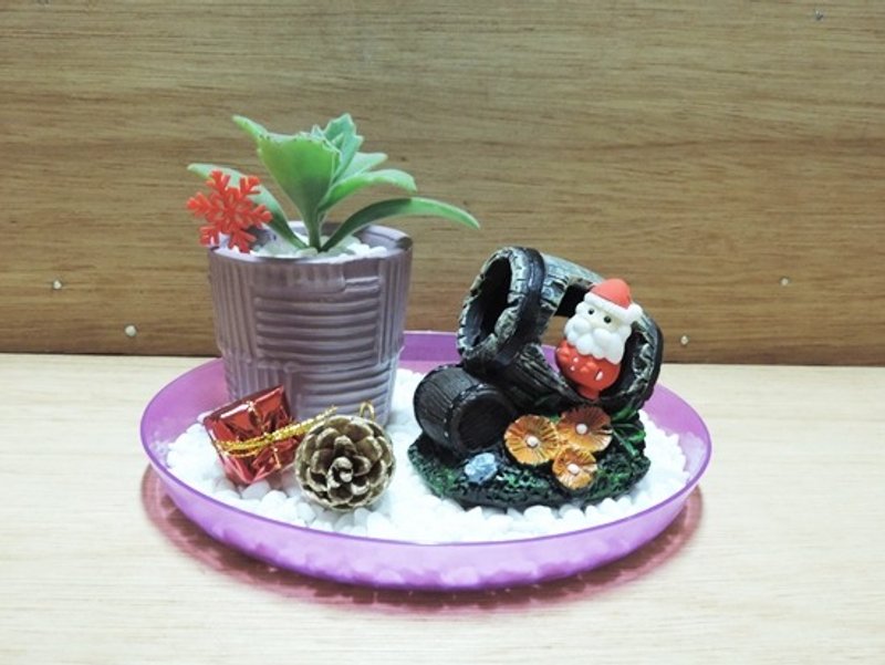 Xmas ‧ gift from Santa Claus "Christmas define" - Plants - Plants & Flowers 