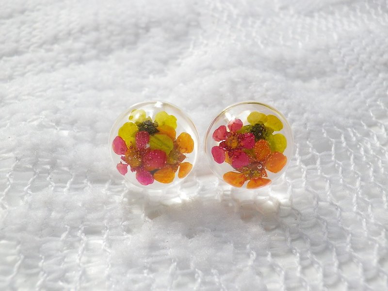 Anny's workshop hand-made pressed flower jewelry, 3-color pearl plum earrings (ear pin type) - ต่างหู - กระดาษ 