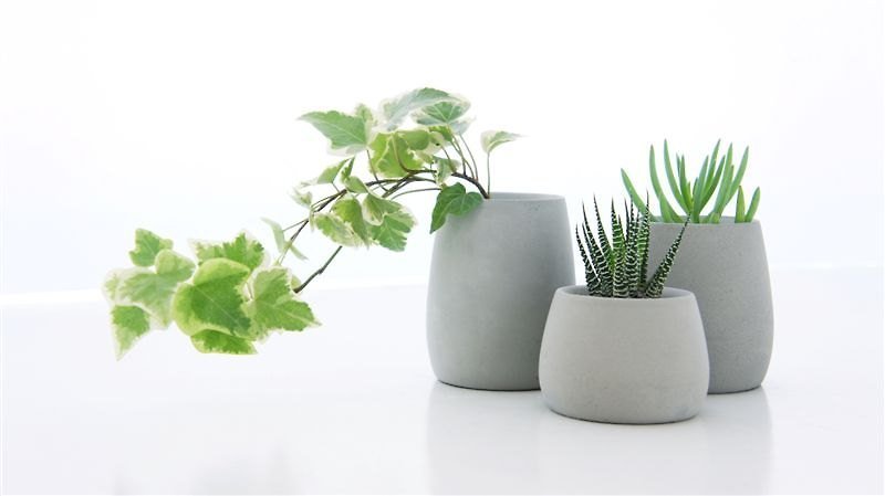 KALKI'D Pro Cement Flower Arrangement-Round Optional 2 Models / Cement / Industrial Style / Planting / - Plants - Cement Gray
