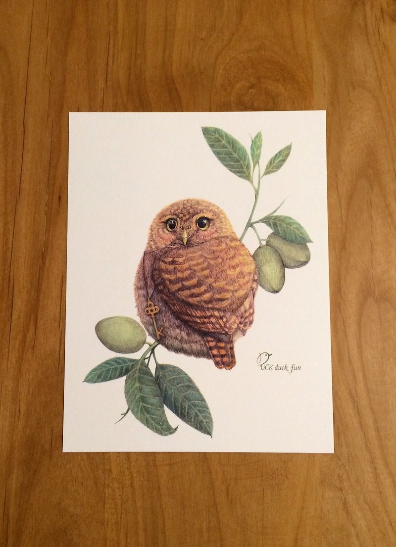 Olive Owl Postcard Card - Cards & Postcards - Paper Green