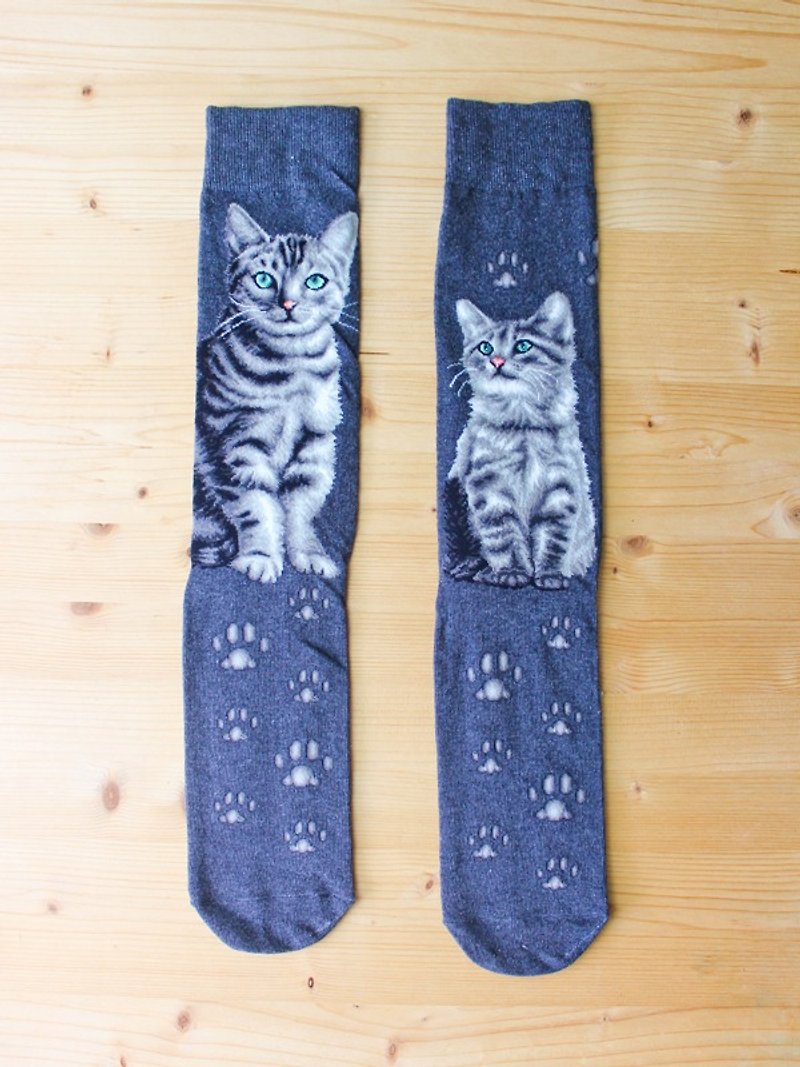 JHJ Design 加拿大品牌 高彩度針織棉襪 貓咪系列 美國短毛貓 男 - 襪子 - 棉．麻 灰色