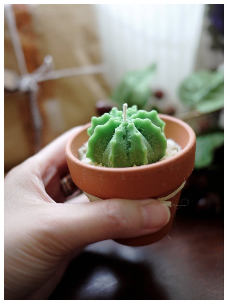 多肉植物盆栽﹣兜丸 大豆蠟燭 ✣ 天然x 純精油 x 無煙害 - 植栽/盆栽 - 蠟 綠色