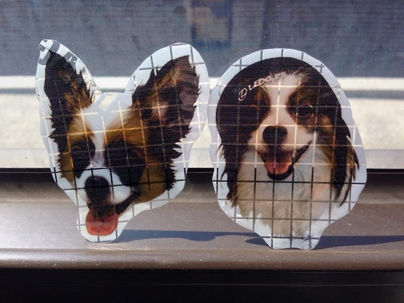 Customized Pet window stickers - Wall Décor - Other Materials Multicolor