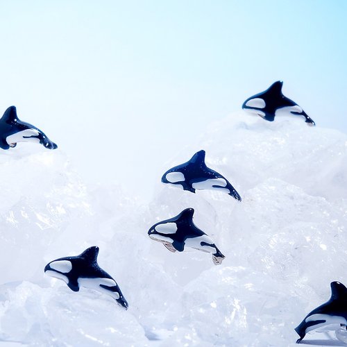 Orca スタッド ピアス、シャチ スタッド ピアス、クジラ ピアス