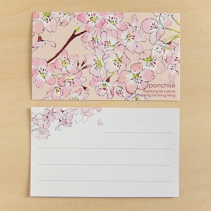 ミニカード　桜 - カード・はがき - 紙 ピンク