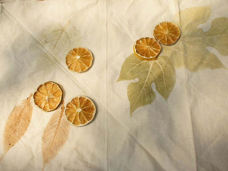 Dietitian's Zero-Added Dried Fruit-Fragrant Lemon Dried Fruit - ผลไม้อบแห้ง - อาหารสด สีเขียว