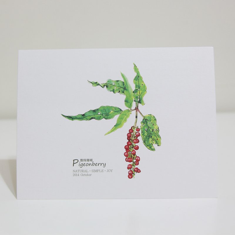 Gordon -NSJ painted a few beads of coral postcard - Cards & Postcards - Paper Multicolor