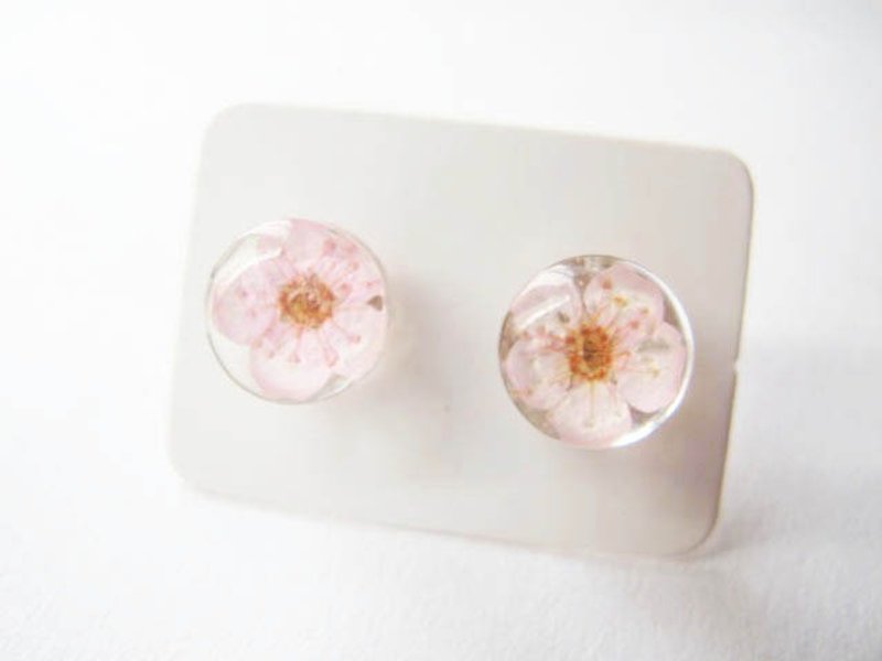 * Rosy Garden * pale cherry pink earrings small plum dried flowers - ต่างหู - วัสดุอื่นๆ สึชมพู