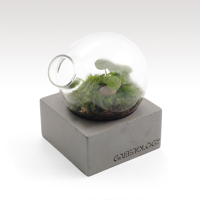 Greenology 水泥底座梨形玻璃花器 - 盆栽/植栽 - 水泥 灰色