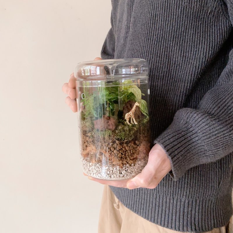 mini zoo 苔蘚景觀 室內植栽 - 植栽/盆栽 - 植物．花 綠色