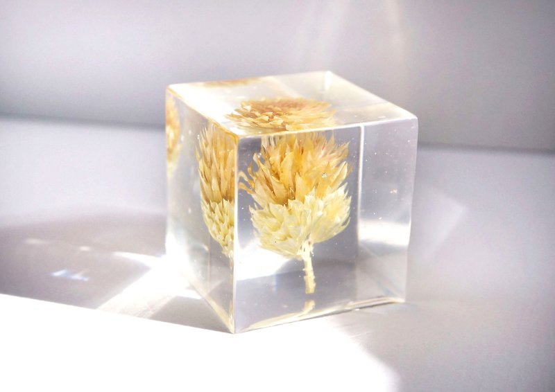 Yellow thistle flower - three-dimensional square dried flowers decoration - งานไม้/ไม้ไผ่/ตัดกระดาษ - กระดาษ สีเหลือง