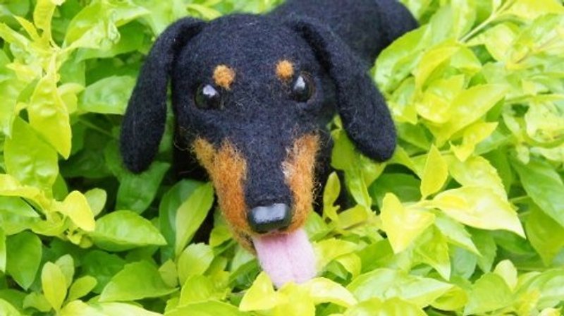 [Sheep Le Duo X Wool Felt] Short-haired Dachshund Dog Pet Re-engraving Inquiry Area Please do not subscribe! - ตุ๊กตา - ขนแกะ สีดำ