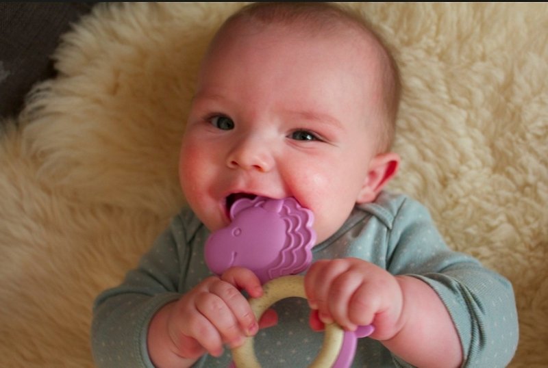 美國MyNatural Eco Teether環保固齒器-粉紫小馬 - 嬰幼兒玩具/毛公仔 - 植物．花 紫色