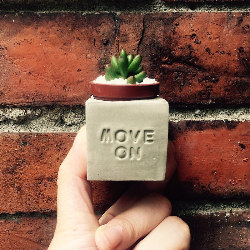 Move On ~!! (過去を離れて、未来に向き合う) 多肉植物 マグネット 鉢植え - 観葉植物 - コンクリート グレー