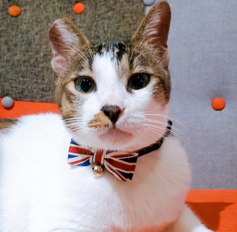 British Flag Bowknot Pet Collar for Cats and Dogs S size - Other - Other Materials Multicolor