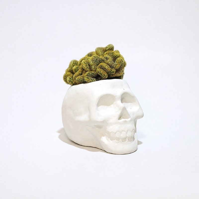 Skull - Head basin (without plant) - ตกแต่งต้นไม้ - ปูน สีเขียว