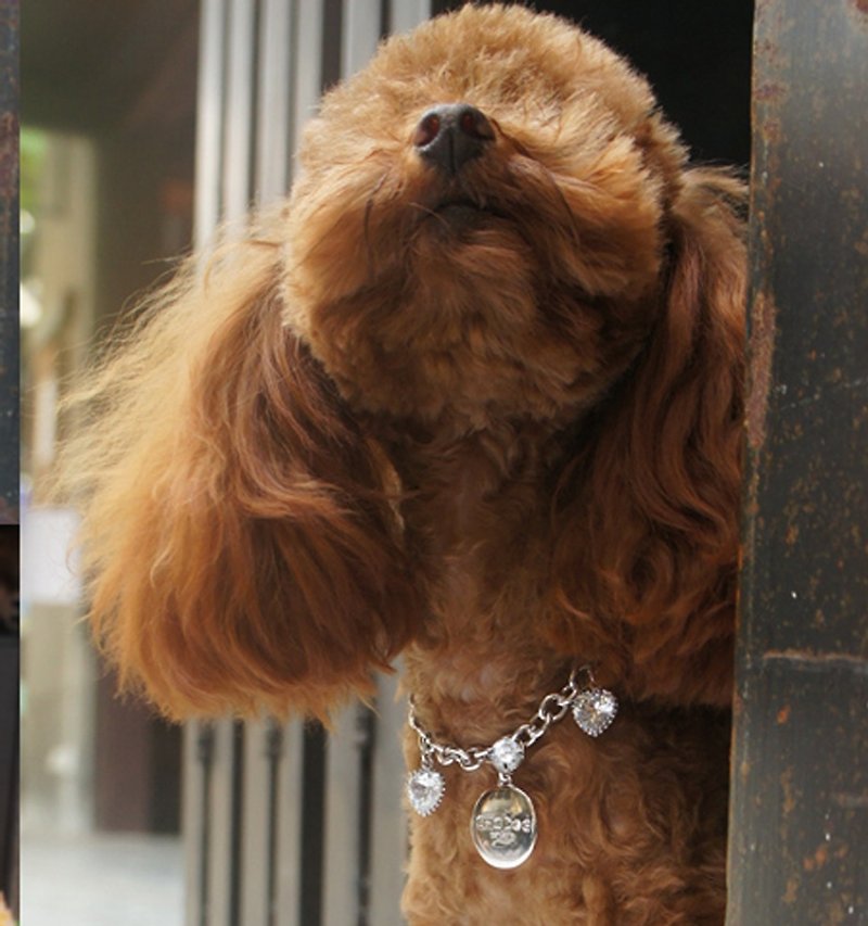 [CHIC DOG] dog necklace parent group ((necklace aurora. Bing Xin. Shine style)) purchase area - ปลอกคอ - โลหะ สีเทา