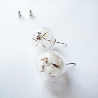 ＊Rosy Garden＊Dandelion inside glass ball pin earrings