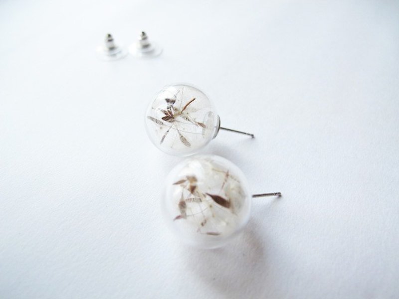 Rosy Garden Dandelion inside glass ball pin earrings - ต่างหู - พืช/ดอกไม้ ขาว