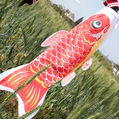 金佶 fishsay 臺灣鯉魚旗90CM (紅)