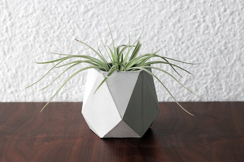 Lingge| 幾何学的な鉢と花をセメントで作る - 観葉植物 - コンクリート グレー