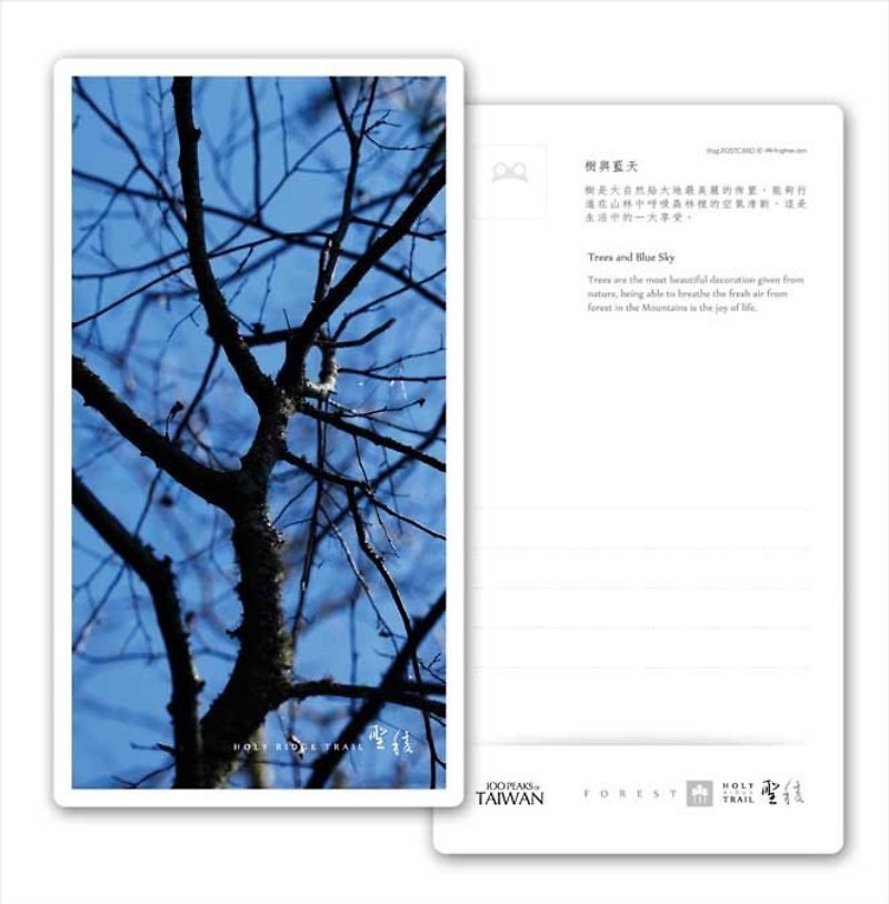 St. frog edge series Postcard - Forest - trees and blue sky - Cards & Postcards - Paper 