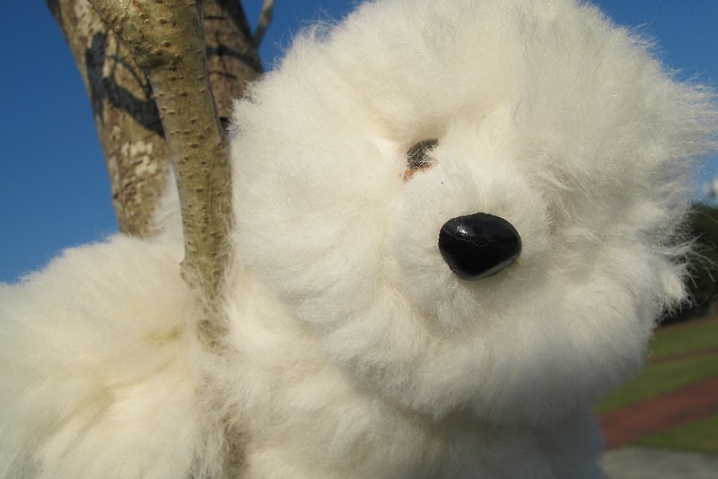 Alpaca 100% 毛料手工縫製 小泰迪熊娃娃 - 玩偶/公仔 - 其他材質 白色