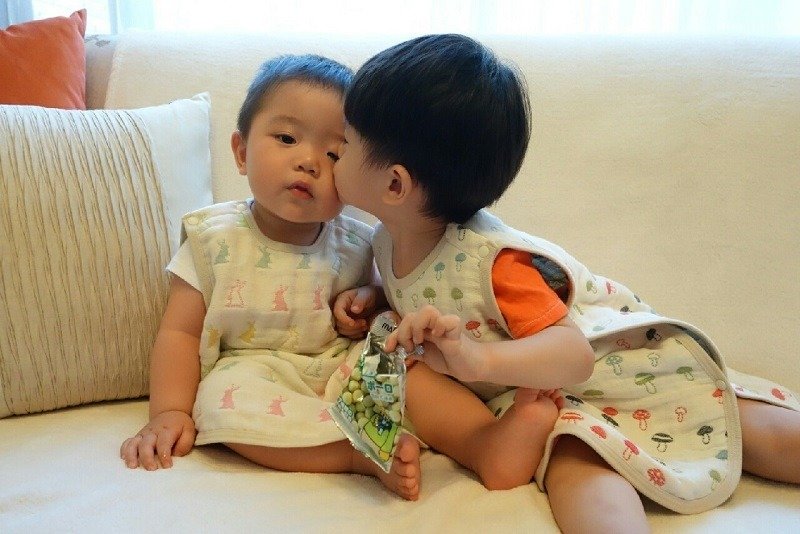 着物6層糸反キックベスト - （小） - （40cmx50cm） - その他 - コットン・麻 多色