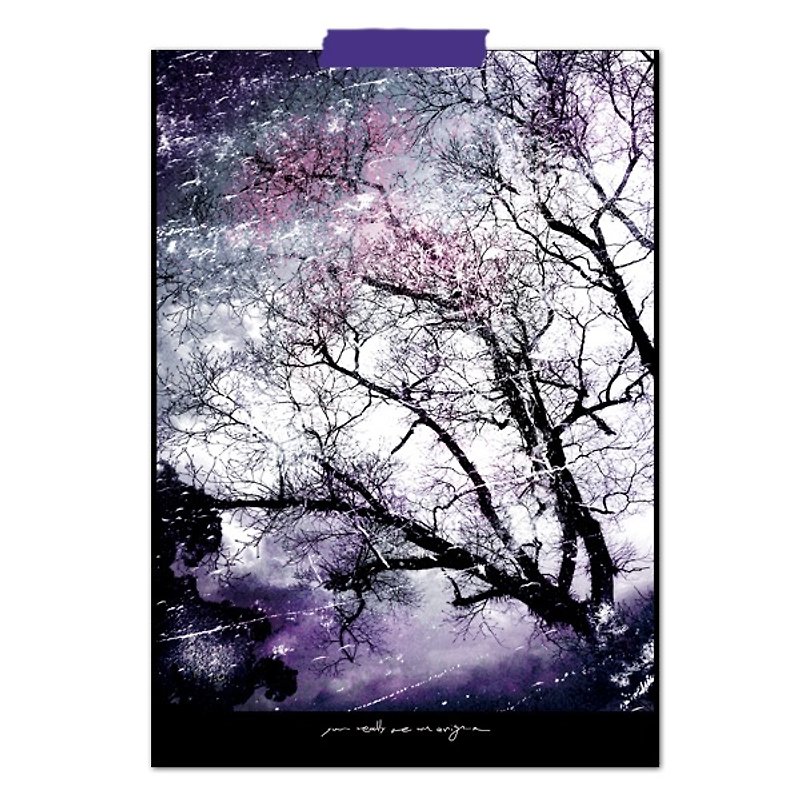 Postcard Card photography tree purple mystery secret - Cards & Postcards - Paper Purple
