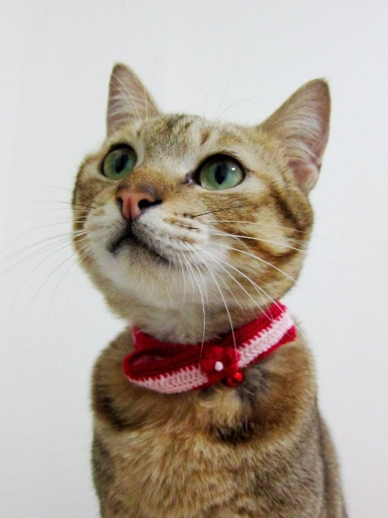 Small Flower Bow Knot Yarn Cat Collar - ปลอกคอ - อะคริลิค หลากหลายสี