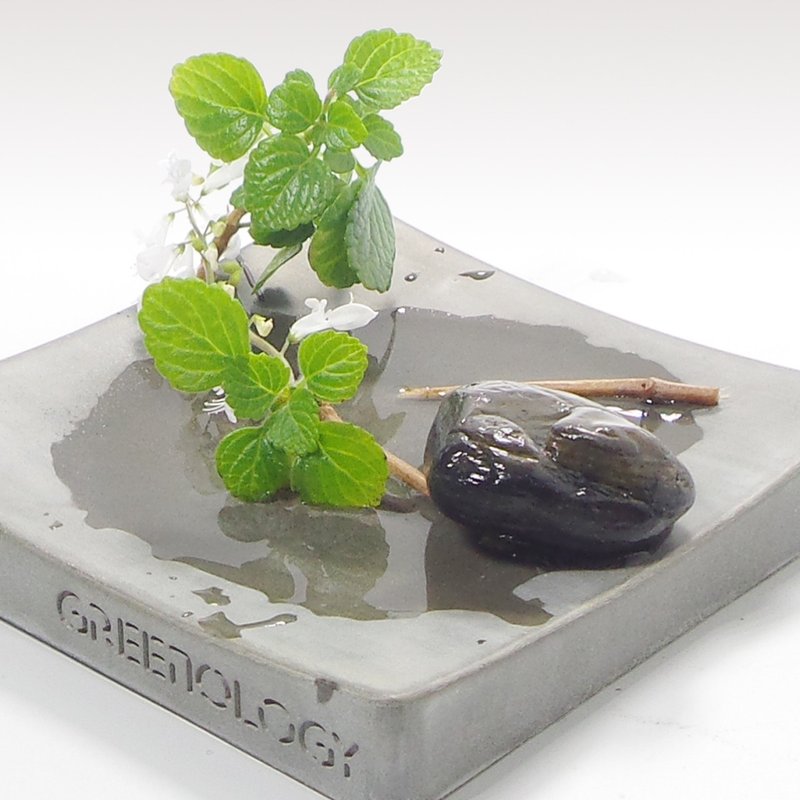 Greenology 水泥花碟 - 擺飾/家飾品 - 水泥 灰色