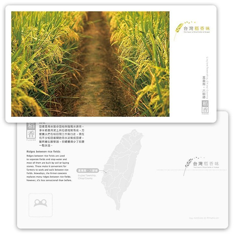 Taiwan rice fragrance postcard [Tao Heung Series] - Rand - การ์ด/โปสการ์ด - กระดาษ 