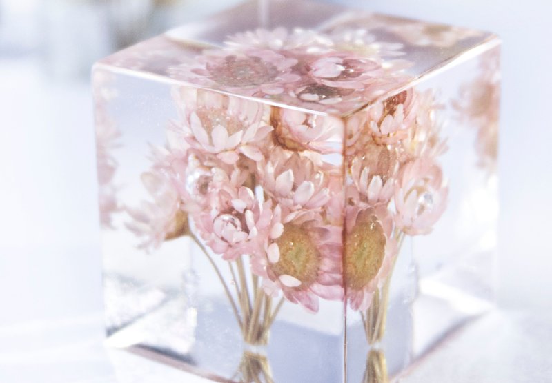 粉紅小花－立體方形乾花擺設 - 盆栽/花藝 - 植物．花 粉紅色