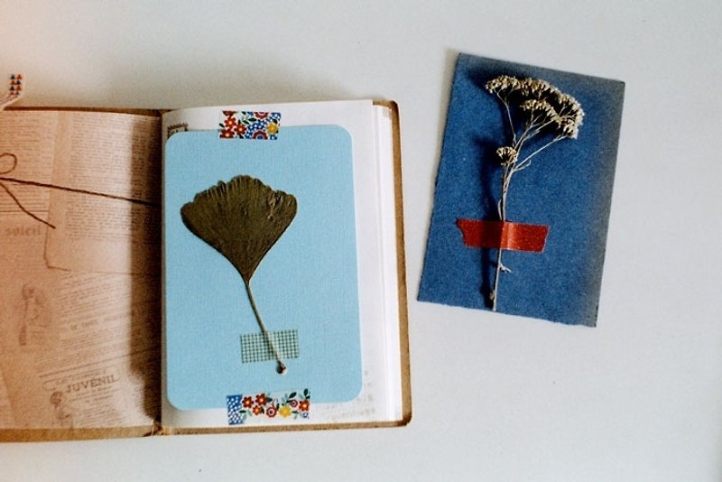 写真万能ポストカード～言葉の代わりにシリーズ～日記 - カード・はがき - 紙 ブルー
