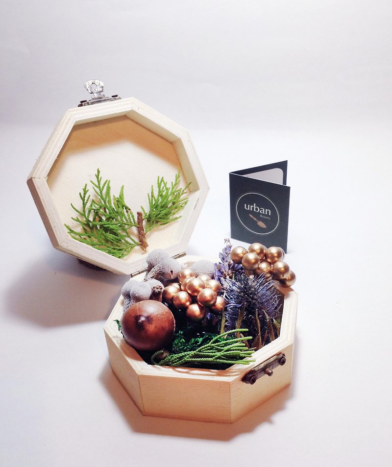 ◥Fantastic Small Baby Pokémon flowers box - winter limited natural lavender fragrance gift basin modeling / exchange gifts - Plants - Plants & Flowers Purple