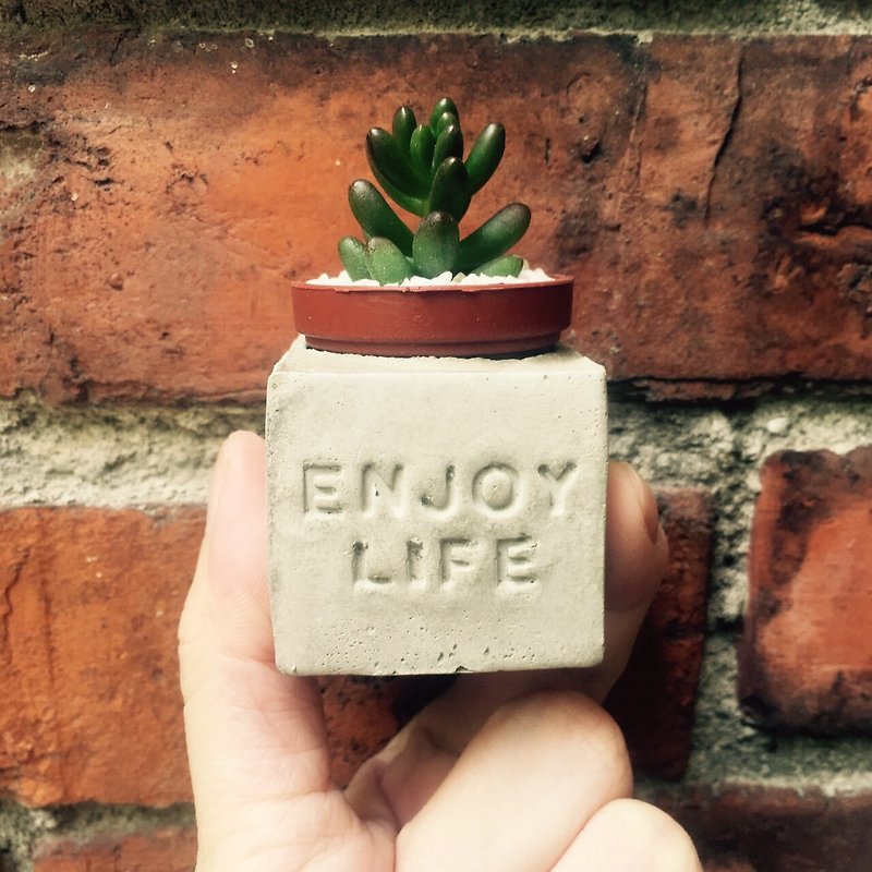 Enjoy Life~(享樂人生) 磁鐵多肉盆栽 - 植栽/盆栽 - 水泥 灰色
