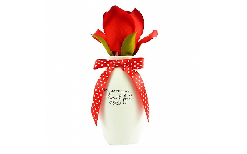Blooming roses make your life beautiful [Hallmark-Gift Healing Little Things] - Items for Display - Plastic Red