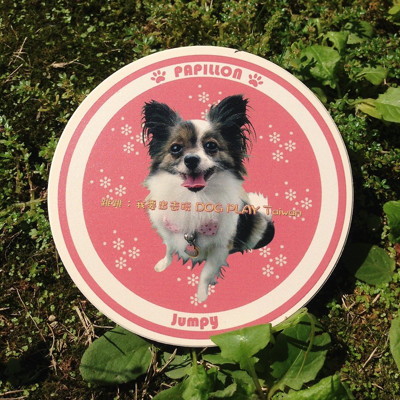 Customized Pet ceramic absorbent coasters - Coasters - Other Materials White