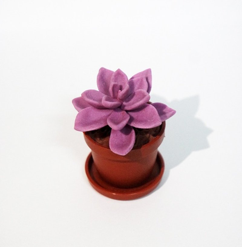 Immersive succulents small pot - purple pearl - Items for Display - Clay 