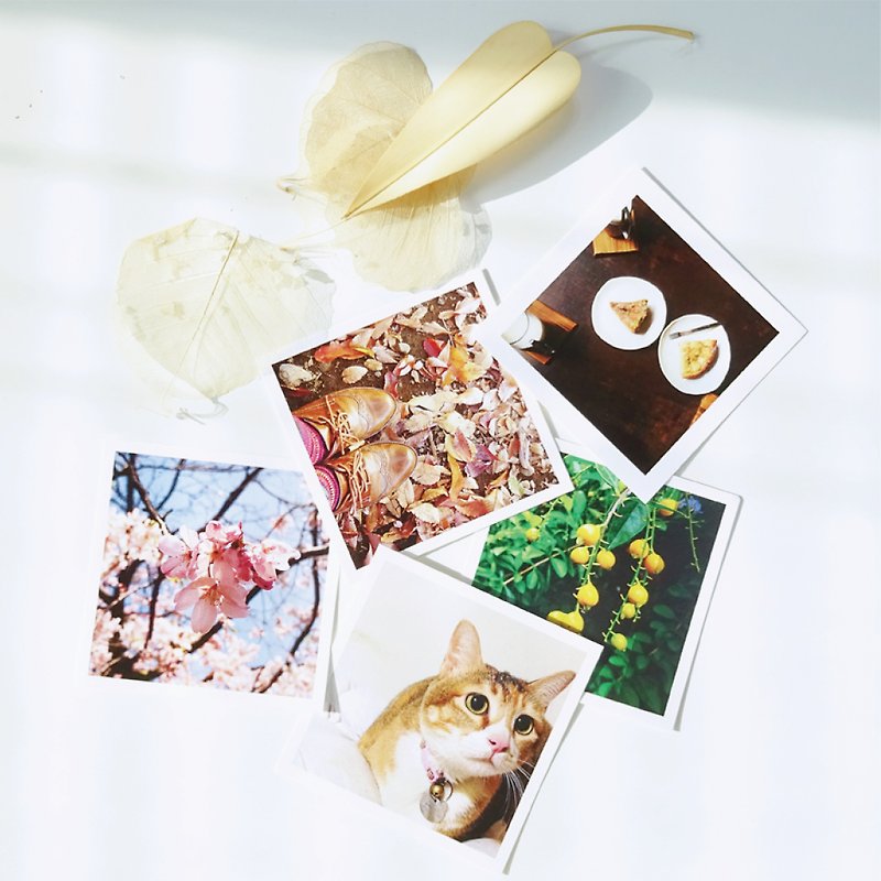 8 custom hand-made square photos (スクエアの写真 Square Photo) - Cards & Postcards - Paper 