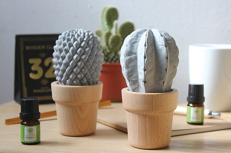 Cement Cactus Diffuser-Meteor (with fragrance) - น้ำหอม - ปูน สีเทา