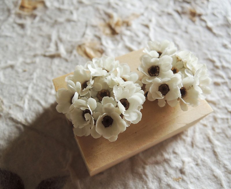 Sweet ‧ circle classic series handmade flower earrings France white petals plum dried flower earrings ear acupuncture jewelry style wedding