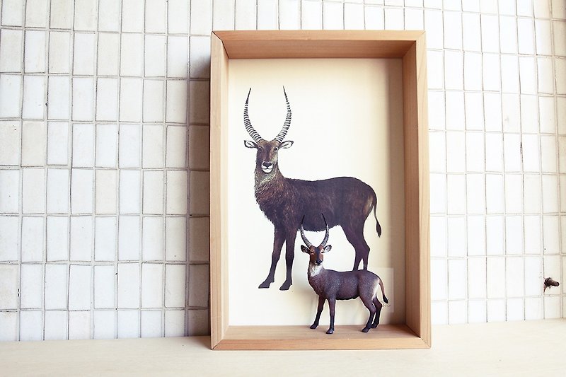 動物複製畫框 (小長方) + 動物模型 -- 水羚 - 擺飾/家飾品 - 其他材質 卡其色